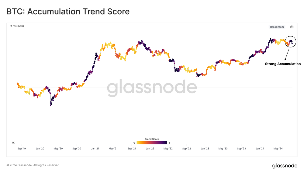 Glassnode：比特币回归囤积潮，市场看涨与看跌因素并存！-第2张图片-海印网