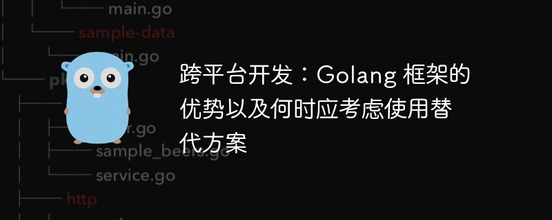 跨平台开发：Golang 框架的优势以及何时应考虑使用替代方案-第1张图片-海印网