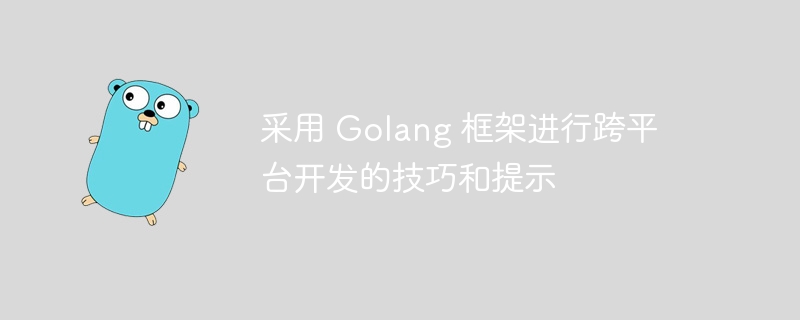 采用 Golang 框架进行跨平台开发的技巧和提示-第1张图片-海印网