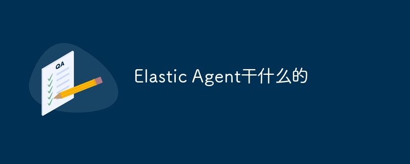 Elastic Agent干什么的-第1张图片-海印网