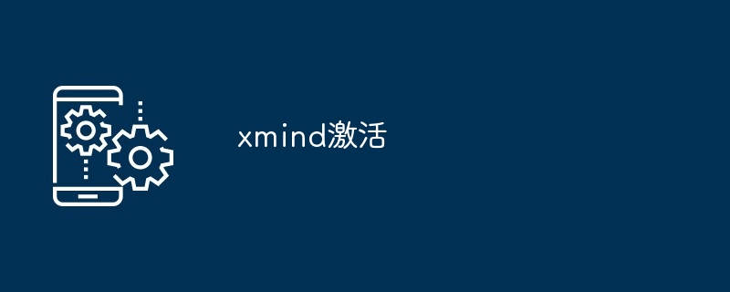 xmind激活-第1张图片-海印网