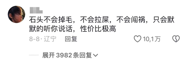 石头、牙膏、芒果核：没有什么东西 是网友们养不了的-第5张图片-海印网