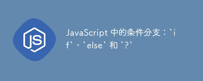 JavaScript 中的条件分支：`if`、`else` 和 `?`-第1张图片-海印网