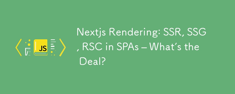 Nextjs Rendering: SSR, SSG, RSC in SPAs – What’s the Deal?-第1张图片-海印网