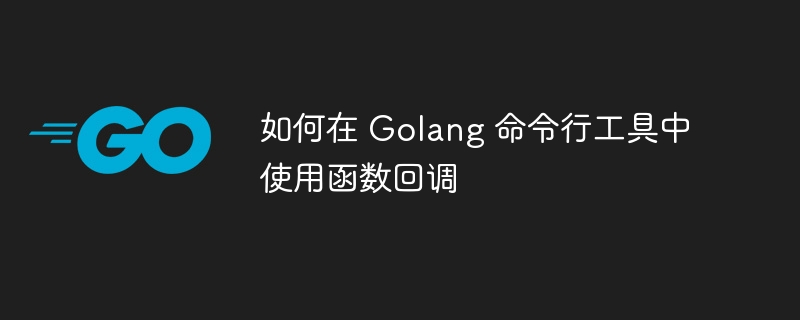 如何在 Golang 命令行工具中使用函数回调-第1张图片-海印网