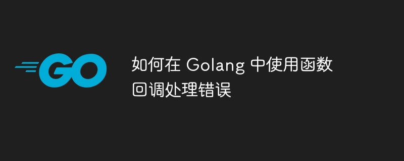 如何在 Golang 中使用函数回调处理错误-第1张图片-海印网