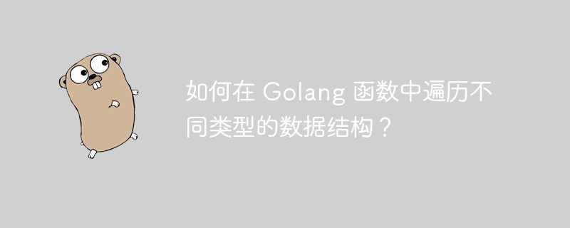 如何在 Golang 函数中遍历不同类型的数据结构？-第1张图片-海印网