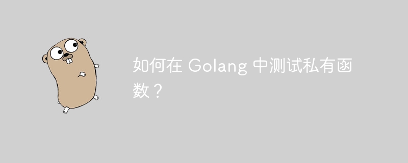 如何在 Golang 中测试私有函数？-第1张图片-海印网