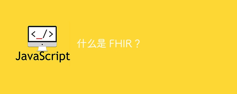 什么是 FHIR？-第1张图片-海印网