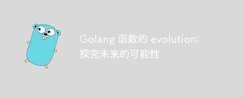 Golang 函数的 evolution: 探究未来的可能性-第1张图片-海印网