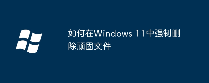 如何在Windows 11中强制删除顽固文件-第1张图片-海印网