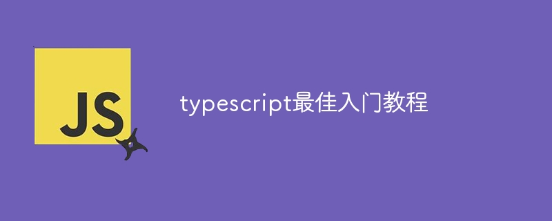 typescript最佳入门教程-第1张图片-海印网