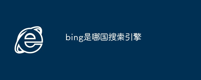 bing是哪国搜索引擎-第1张图片-海印网