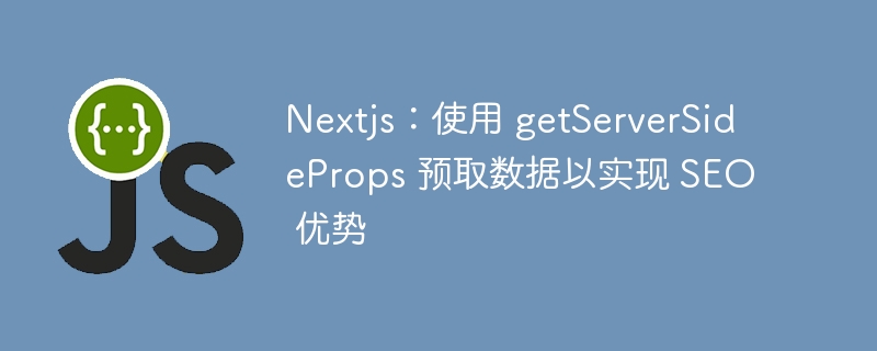 Nextjs：使用 getServerSideProps 预取数据以实现 SEO 优势-第1张图片-海印网