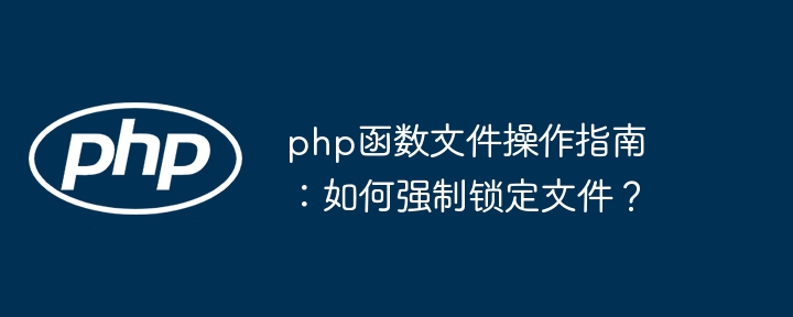 php函数文件操作指南：如何强制锁定文件？-第1张图片-海印网