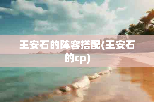 王安石的阵容搭配(王安石的cp)-第1张图片-海印网