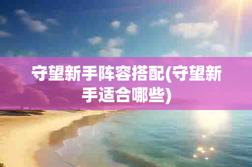 守望新手阵容搭配(守望新手适合哪些)-第1张图片-海印网