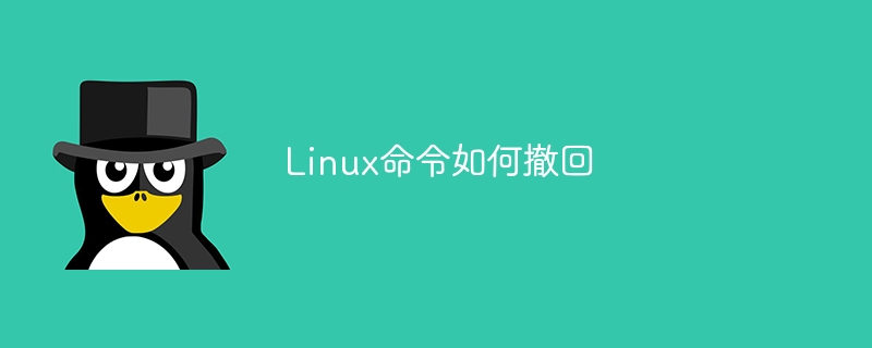 Linux命令如何撤回-第1张图片-海印网