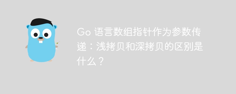 Go 语言数组指针作为参数传递：浅拷贝和深拷贝的区别是什么？-第1张图片-海印网