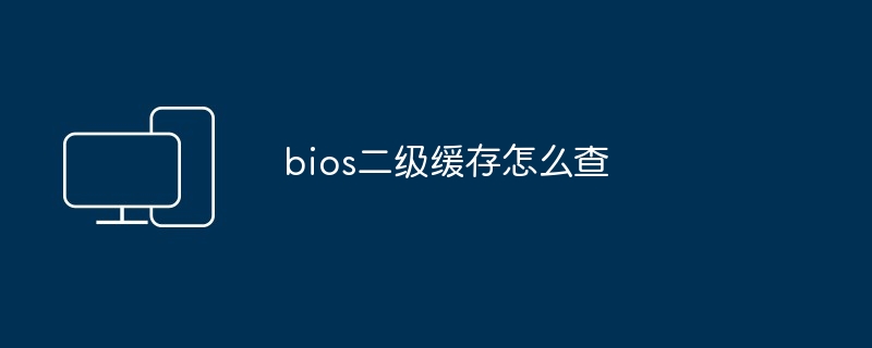 bios二级缓存怎么查-第1张图片-海印网