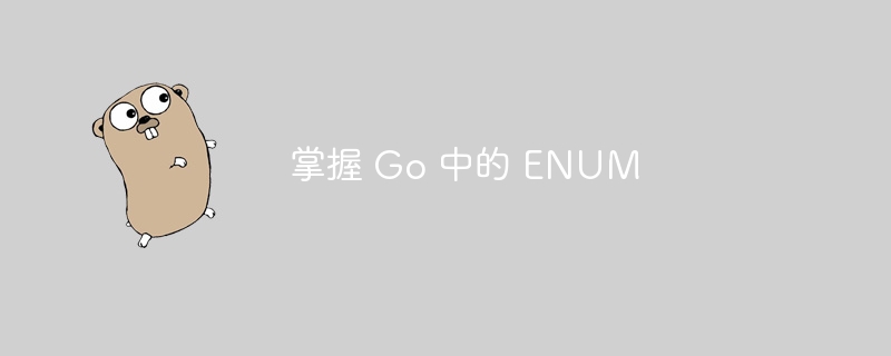 掌握 Go 中的 ENUM