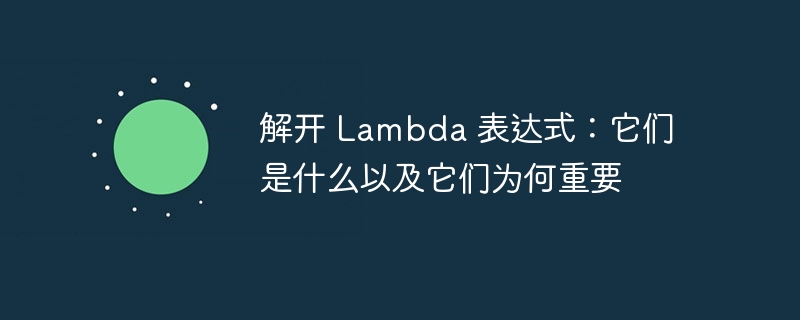 解开 Lambda 表达式：它们是什么以及它们为何重要-第1张图片-海印网