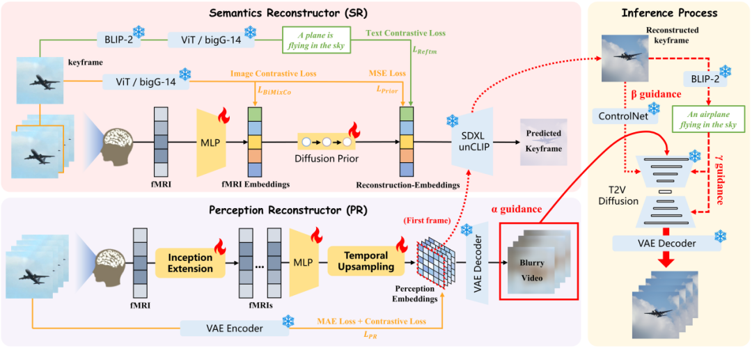 NeurIPS 2024 Oral | 还原所见！揭秘从脑信号重建高保真流畅视频-第3张图片-海印网