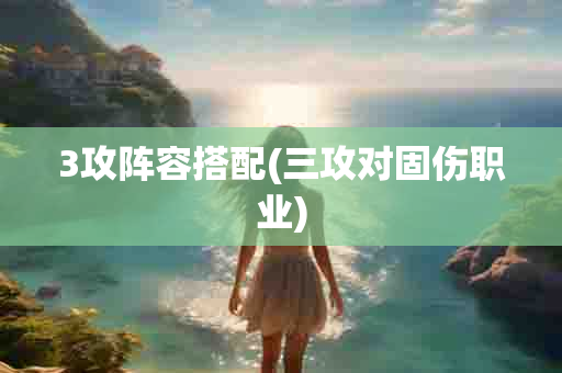 3攻阵容搭配(三攻对固伤职业)-第1张图片-海印网