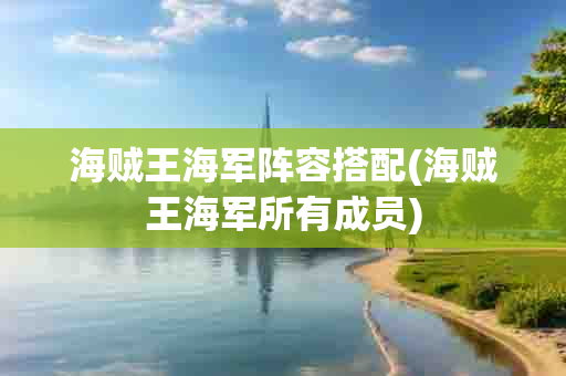 海贼王海军阵容搭配(海贼王海军所有成员)-第1张图片-海印网