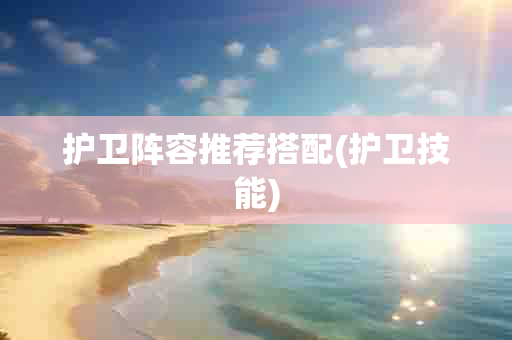 护卫阵容推荐搭配(护卫技能)-第1张图片-海印网