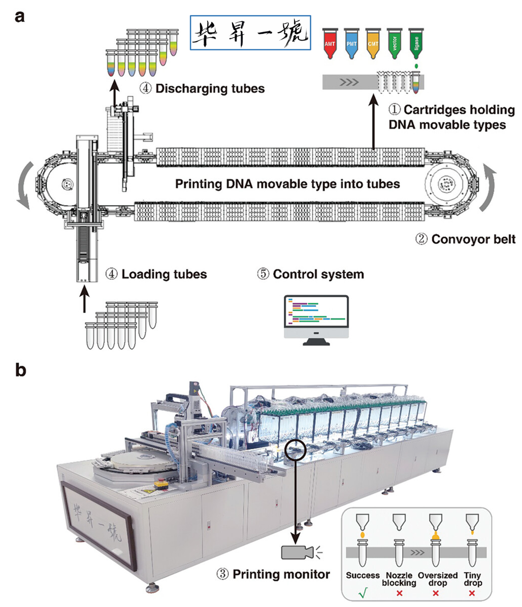 「毕昇一号」DNA活字存储喷墨打印机来了，低成本、高效率、全自动的DNA存储-第6张图片-海印网