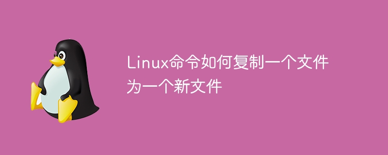 Linux命令如何复制一个文件为一个新文件