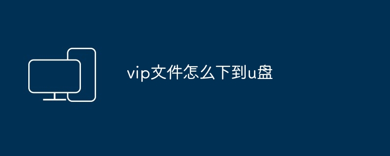 vip文件怎么下到u盘