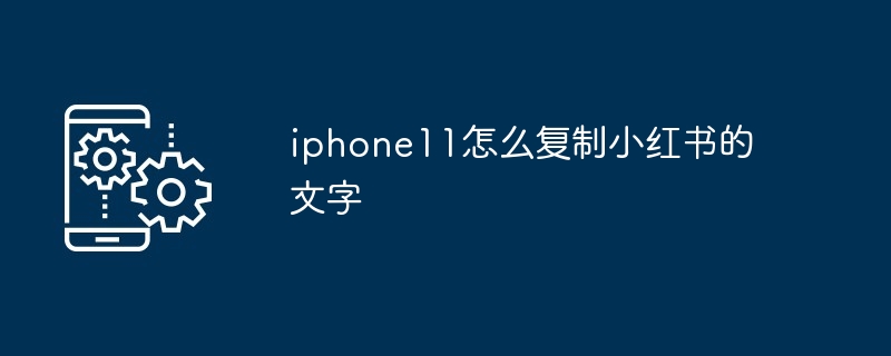 iphone11怎么复制小红书的文字-第1张图片-海印网