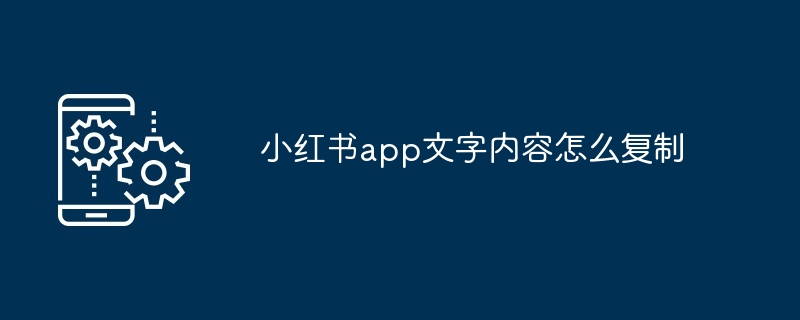 小红书app文字内容怎么复制-第1张图片-海印网