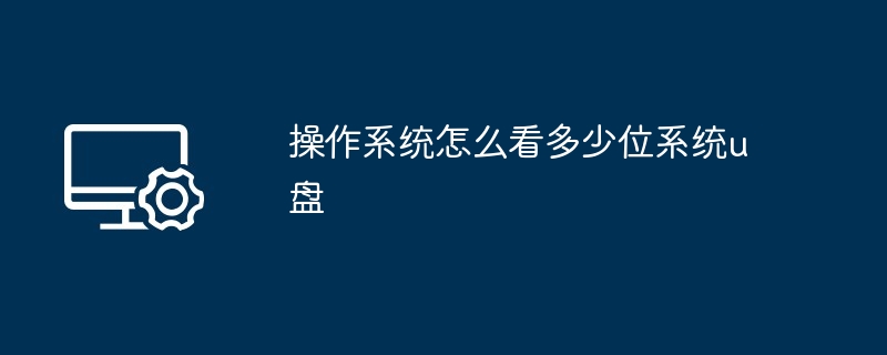 操作系统怎么看多少位系统u盘-第1张图片-海印网