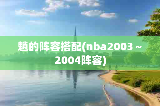 魈的阵容搭配(nba2003～2004阵容)