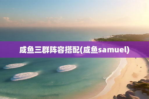 咸鱼三群阵容搭配(咸鱼samuel)