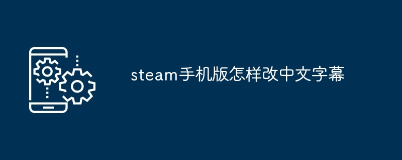 steam手机版怎样改中文字幕-第1张图片-海印网