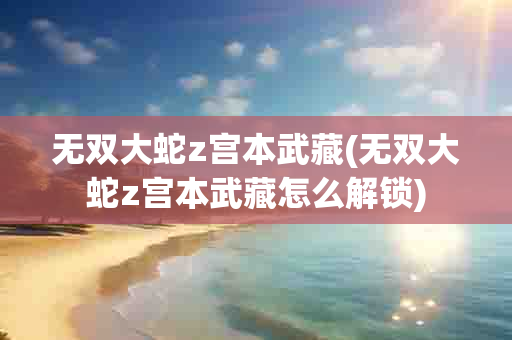 无双大蛇z宫本武藏(无双大蛇z宫本武藏怎么解锁)