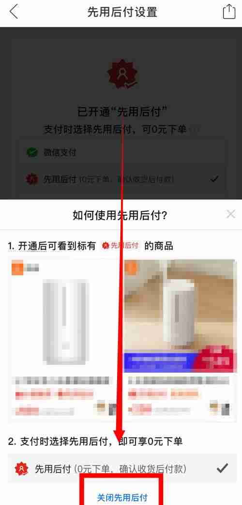 拼多多先用后付怎么取消 拼多多先用后付取消方法-第4张图片-海印网