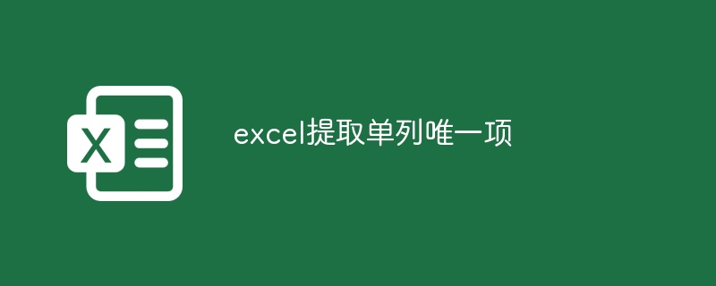 excel提取单列唯一项-第1张图片-海印网