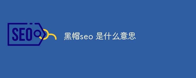 黑帽seo 是什么意思-第1张图片-海印网