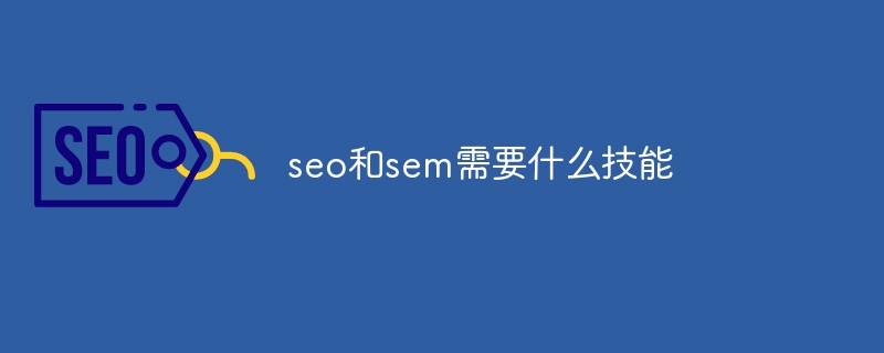 seo和sem需要什么技能-第1张图片-海印网