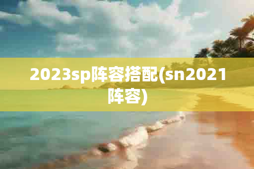 2023sp阵容搭配(sn2021阵容)-第1张图片-海印网