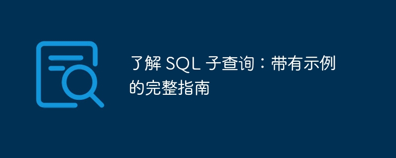 了解 SQL 子查询：带有示例的完整指南-第1张图片-海印网