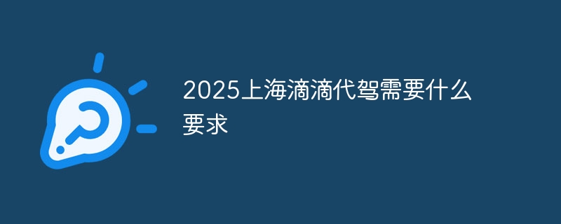 2025上海滴滴代驾需要什么要求-第1张图片-海印网