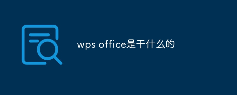 wps office是干什么的-第1张图片-海印网