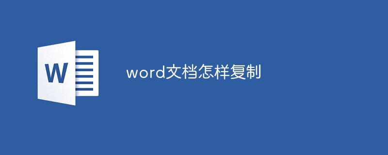 word文档怎样复制-第1张图片-海印网