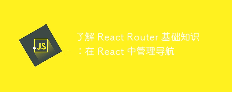 了解 React Router 基础知识：在 React 中管理导航-第1张图片-海印网